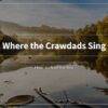 ザリガニの鳴くところ　Where the Crawdads Sing　ディーリア・オーウェンズ　Audible